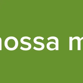 radio nossa mais 96