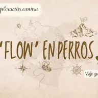 El flow en perros - crónica de exploración canina
