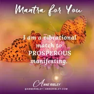 MONDAY MANTRA: I am a vibrational match to PROSPEROUS manifesting!