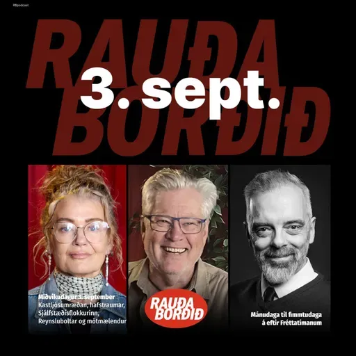 Miðvikudagur 3. september - Kastljósumræðan, hafstraumar, Sjálfstæðisflokkurinn, Reynsluboltar og mótmælendur