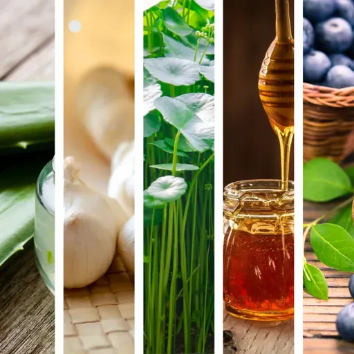 7 Increíbles recetas nutritivas y deliciosas con AMARANTO muy ¡fáciles y rápidas!