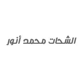 الشحات محمد أنور