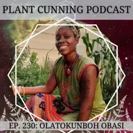 Ep. 230: Traditional African Medicine with Olatokunboh Obasi