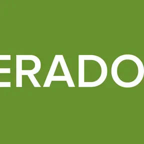 ALTERADOS ZZ