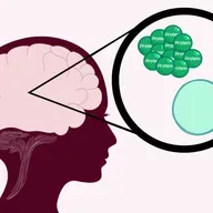 Danske forskere peger på giftigt protein som nøglen til at forstå Parkinsons sygdom