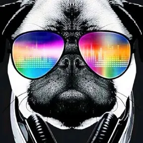 Dog FM