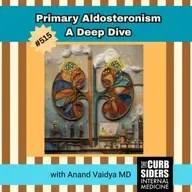 #515 Primary Aldosteronism, A Deep Dive with Anand Vaidya, MD
