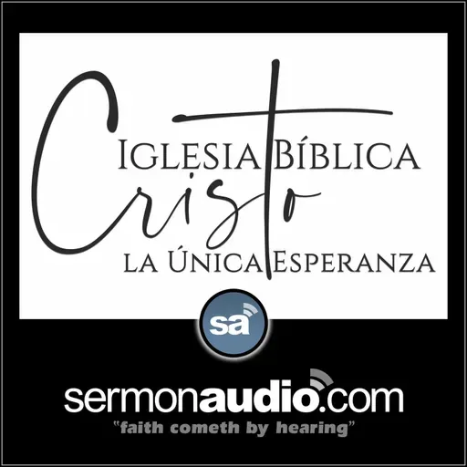 Sigue a Jesús creyendo Su Palabra aunque otros hagan lo opuesto