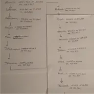 Bonus XVII- In Other News: David and Solomon (Christmas Special)