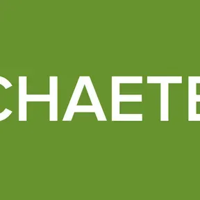 MMROCHAETERNAAL