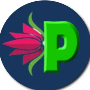 Piindi Radio