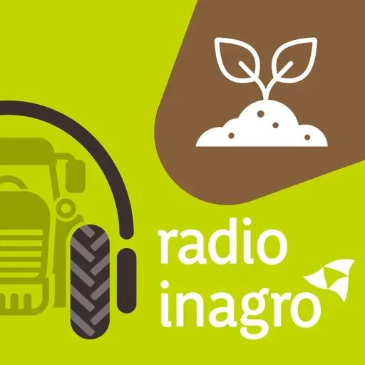 Bodemzorg: akkerbouwer en groenteteler Bram