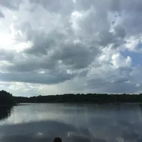 GECT Radio - The Fox