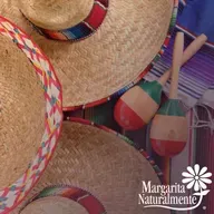 México Sano y Querido