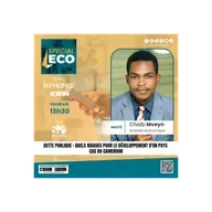 DETTE PUBLIQUE : QUELS RISQUES POUR LE DEVELOPPEMENT D’UN PAYS ? CAS DU CAMEROUN