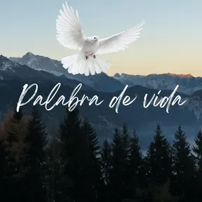 Palabra de vida