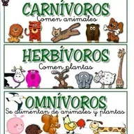¿Cómo se nutren los animales?