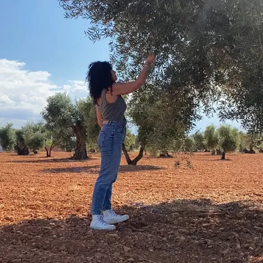 Grupo Montes Norte: desde 1915 trabajando de forma ininterrumpida