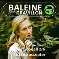 S07E22 Jane Goodall 2/6 : 5 mois... pour se faire accepter des chimpanzés (Emmanuelle Grundmann)