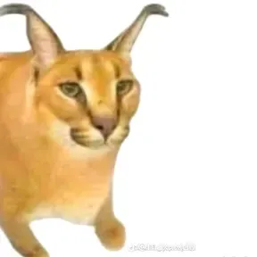 Mamalones