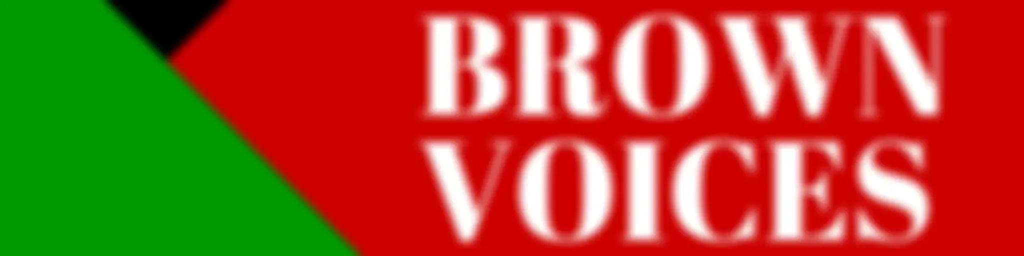 #SmartBrownVoices - Learning from Diversity