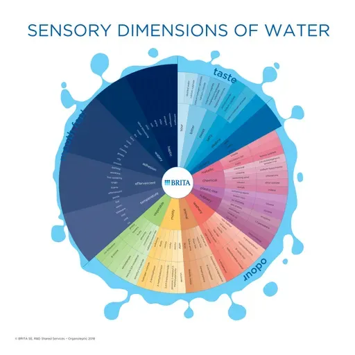 96 水，到底什么味儿？