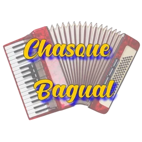 Chasque Bagual Tchê