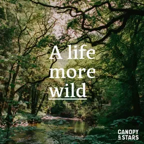 A Life More Wild