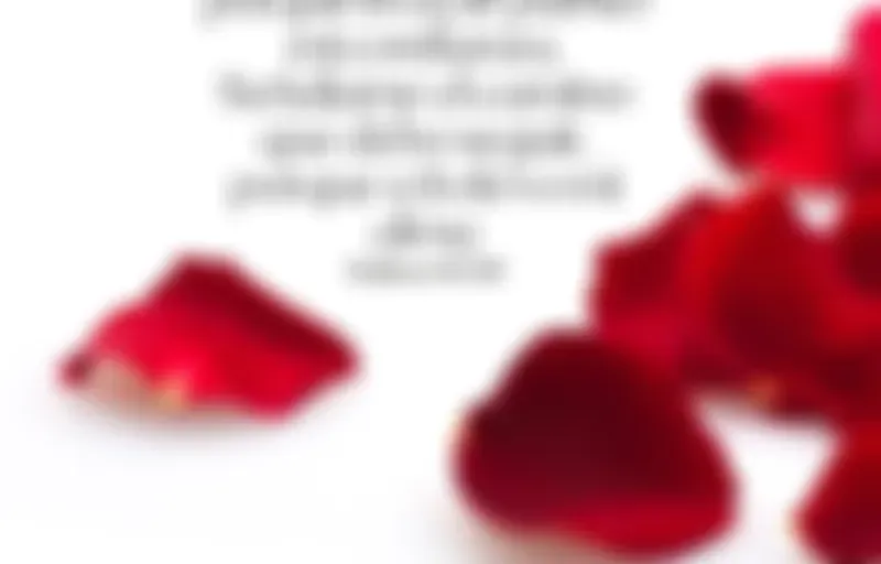 REFLEXION DE LA PALABRA DE CRISTO