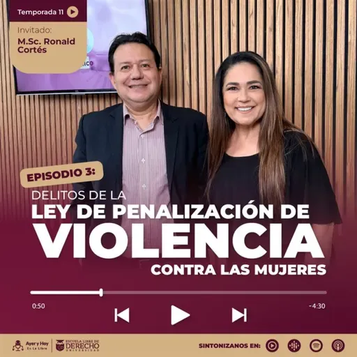 "Delitos de la ley de penalización de violencia contra las mujeres"