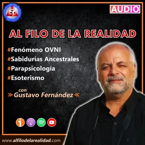 AFR Nº 454: Estafas a granel