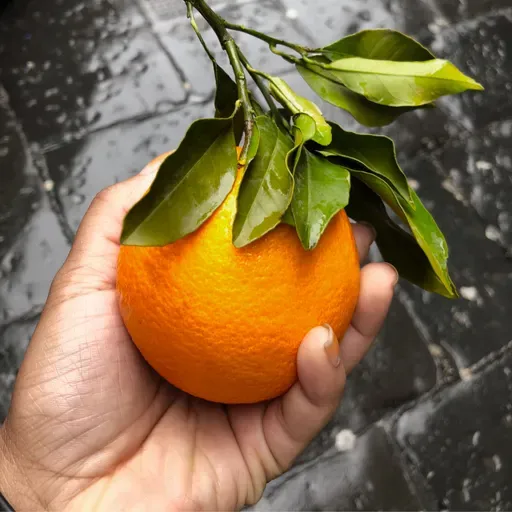 Meditación: Abundancia de lo Simple