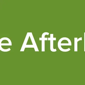 The Afterlife