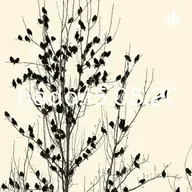 # P274 - Sexta-Feira.11.02.2022 #