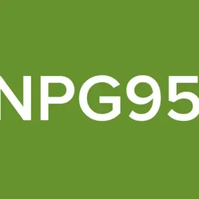 UNPG953