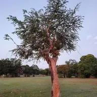 Introduction to eSihlahleni