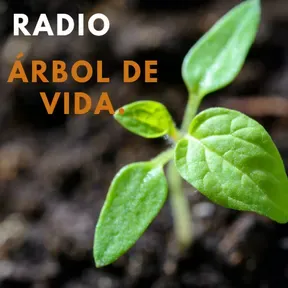 Arbol de Vida