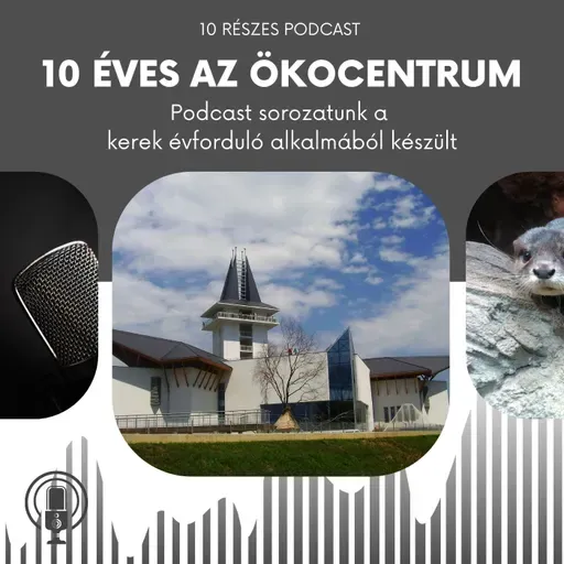 Ökocentrum szabadidőparkjában barangolunk - 7. rész