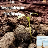 La Descendencia Purificada 