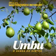 Umbu: o sabor do Sertão | EP 3 - Pesquisa e Inovação