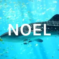 Explicación del proyecto de investigación