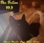 The Feline 99.9 This Kitty Rocks
