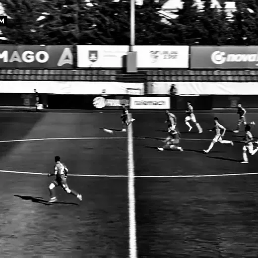 Ofsajd #379: S poloviceee!