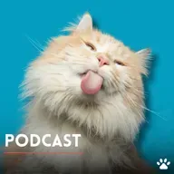Consejos brillantes para tu amigo peludo
