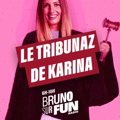 Le Tribunaze de Karina du 07 mai - En plein cambriolage, il s'arrête et fait des câlins au chien de la maison