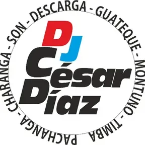salsa y son 2