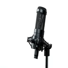 Radio Frenesi