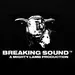 Breaking Sound Radio (BSR)