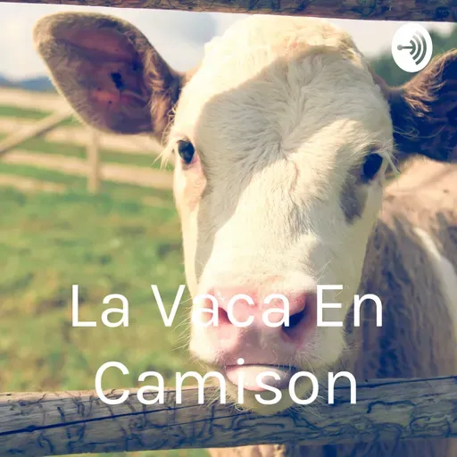 LVC 152-2022 11 07 - LAS LAVANDAS