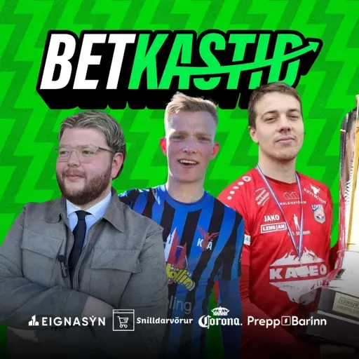 Staðan tekinn fyrir endasprettinn í neðri deildunum!